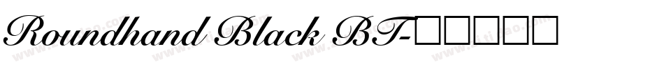 Roundhand Black BT字体转换